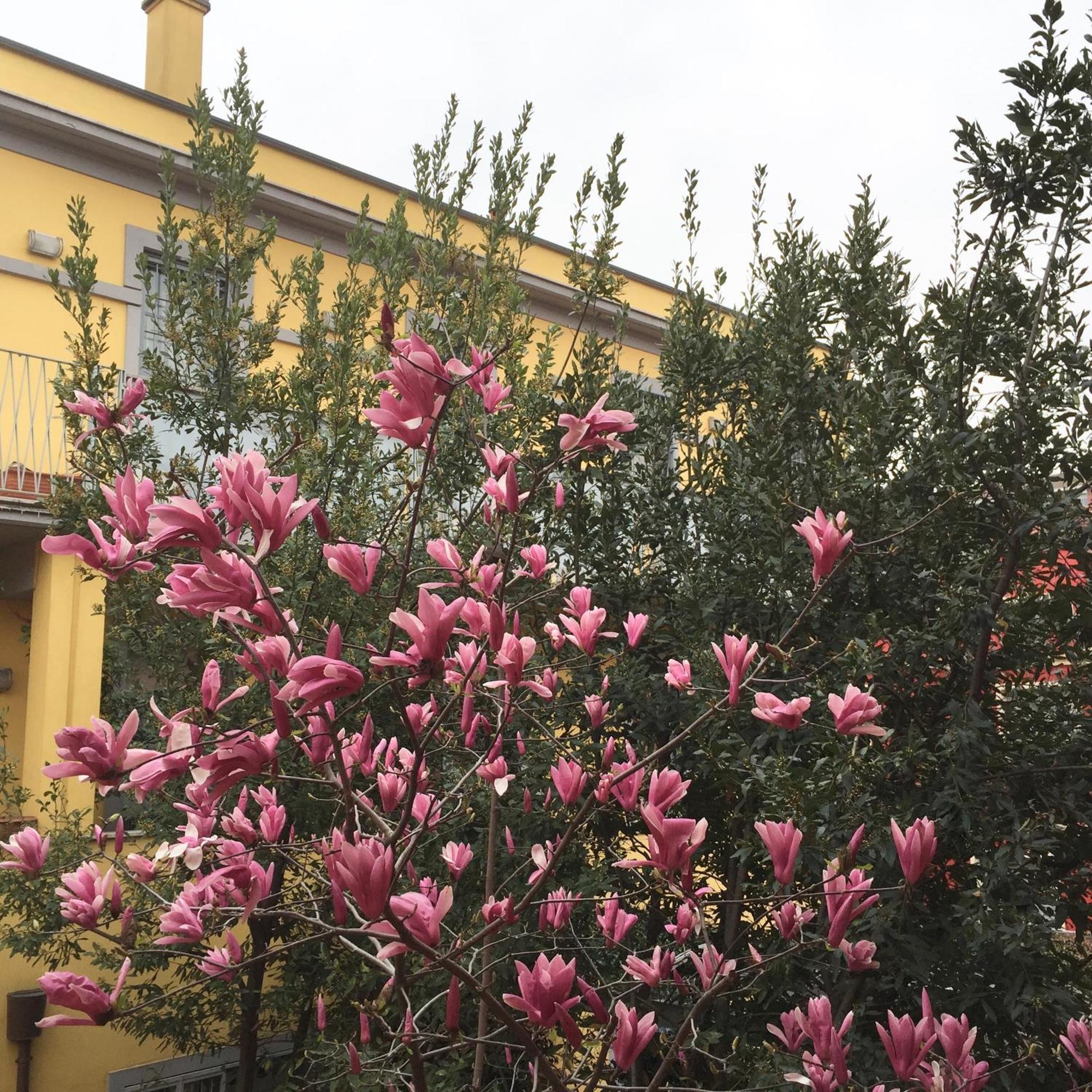 밀라노 Navigli Downtown Cocco House 아파트 외부 사진